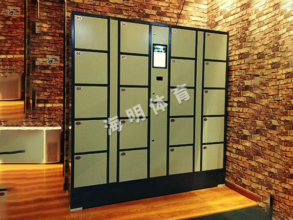 智能儲(chǔ)物柜 智能儲(chǔ)物柜